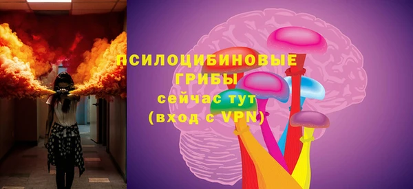 крисы Арсеньев