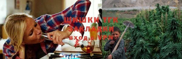 крисы Арсеньев